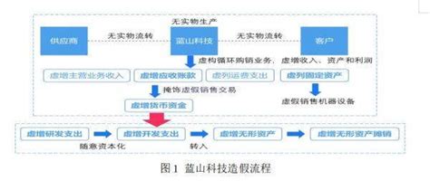 拆解蓝山科技：全链条、系统性财务造 … sohu.com